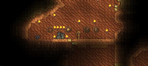 sturdy fossil terraria